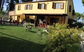 Il Gelso Nero Bed & Breakfast